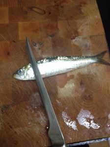 Aquí metemos el cuchillo medio centímetro aprox. 