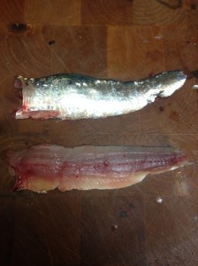 Resultado de cada sardina. 