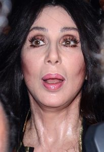 Cher, después de amasarse y estirarse la cara unas cuantas veces. A sus 198 años, se conserva igual que a los 17.